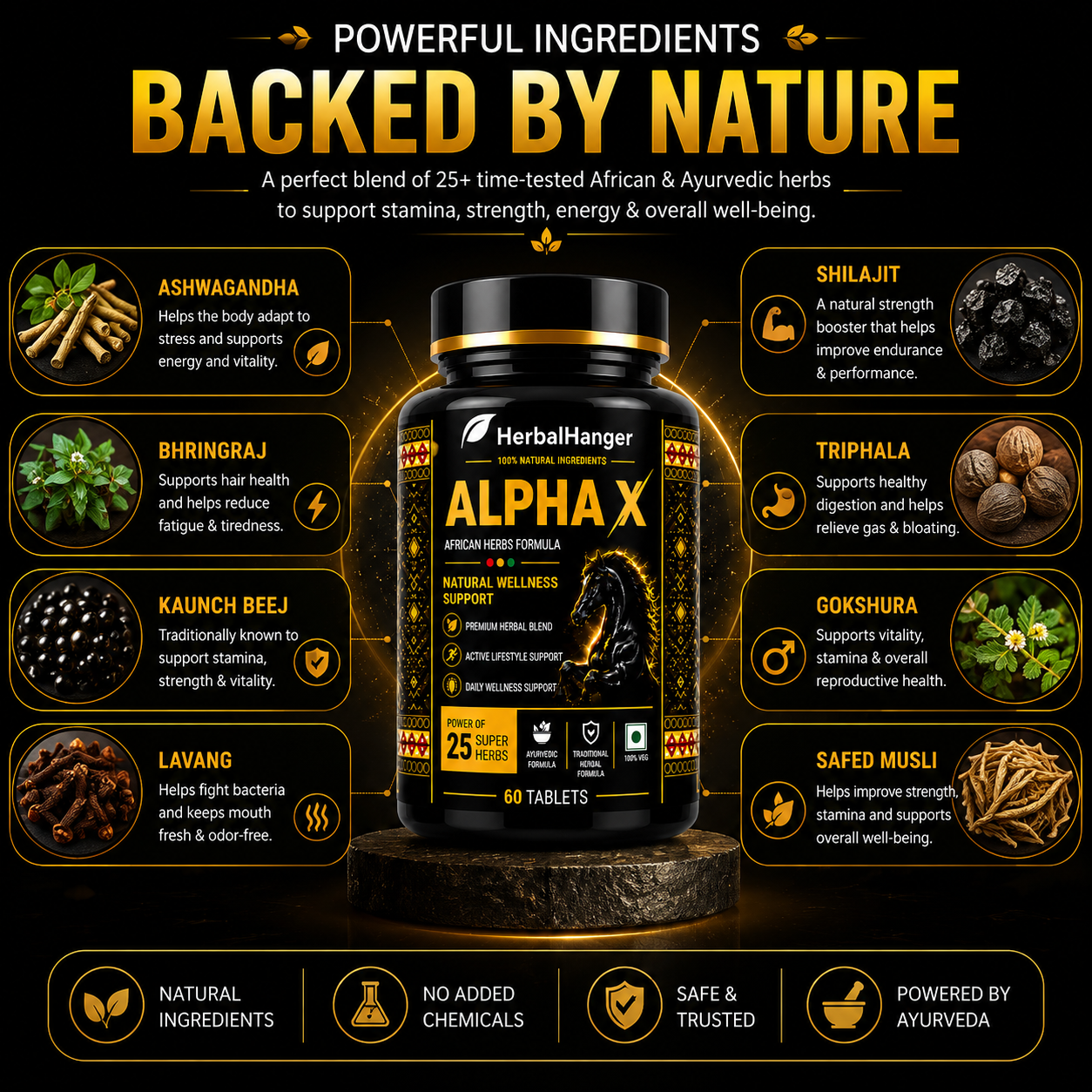 Alpha X – African Herbs Formula | 60 Tablets